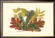 White Oak, Balsam Fir, And Yew Birch by Denton Limited Edition Print