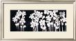 White Flowers On Black I by Norman Wyatt Jr. Limited Edition Pricing Art Print