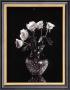 Dramatic Roses by Mark Polomchak Limited Edition Print