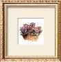 Pink Primroses by Rosalind Oesterle Limited Edition Print