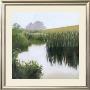 Morning Creekside by Megan Lightell Limited Edition Print