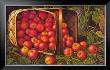 Country Apples by Levi Wells Prentice Limited Edition Pricing Art Print