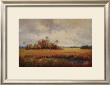 Oasis In The Fall by Hannah Paulsen Limited Edition Print