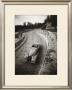 Cabriolet, France, C.1936 by Robert Doisneau Limited Edition Pricing Art Print