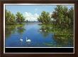 River With Swans I by Slava Limited Edition Print