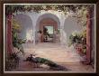 Sunlit Courtyard by Haibin Limited Edition Print