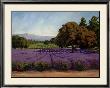 Lavender Fields by Susan Hoehn Limited Edition Pricing Art Print