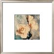 Rose by John Faulkner Limited Edition Pricing Art Print