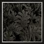 Plantes, C.2004 by Jacky Lecouturier Limited Edition Print