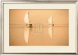 Nile Boats by Jon Hart Gardey Limited Edition Print