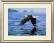 Low Flight Eagle by Jeremy Paul Limited Edition Print