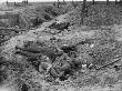 German Dead At The Sunken Road In Guillemont, During The Battle Of The Somme by Robert Hunt Limited Edition Print