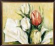 Tulipa Antica by Elisabeth Krobs Limited Edition Print