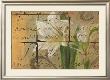 Gold Leaf Amaryllis by Susan Eby Glass Limited Edition Pricing Art Print