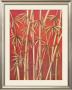 Thai Bamboo Ii by Rafael Serreno Limited Edition Pricing Art Print