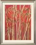 Thai Bamboo Ii by Rafael Serreno Limited Edition Print