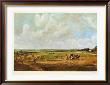 Humpstead Heath, Fitzwilliam, Cambridge by John Constable Limited Edition Print