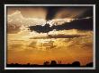 Sunset by Dave Palmer Limited Edition Pricing Art Print