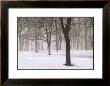 Snow On The Common, Vermont by Christine Triebert Limited Edition Pricing Art Print
