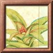 Tropicana Botanical Iv by Jennifer Goldberger Limited Edition Print