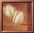 Tulip Expression by Fabrice De Villeneuve Limited Edition Pricing Art Print