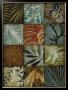 Tile Patterns Iv by John Douglas Limited Edition Print