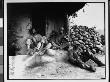 Marine Division Relaxing By Hut, Next To Rock Barricade, After Destroying Enemy Sniper, Korean War by Frank W. Sewell Limited Edition Print