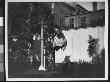 Zelma Levison Jumping In The Backyard Of Her Home At 314 Livingston St by Wallace G. Levison Limited Edition Print