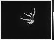 Edward Villella Dancing In New York City Ballet Production Of Prodigal Son by Gjon Mili Limited Edition Print