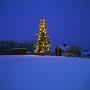 A Lit Up, Outdoor Christmas Tree by Ove Eriksson Limited Edition Pricing Art Print