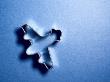 A Pastry Cutter In The Shape Of An Airplane by Bjorn Andren Limited Edition Print