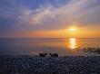 Silhouette Of Two Sheep On The Beach, Gotland, Sweden by Jorgen Larsson Limited Edition Print