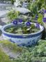 Water Feature With Nymphaea, Designer Lesley Bremnes by Clive Nichols Limited Edition Print