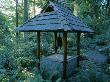 Woodland Garden - Japanese Bell Tower, Designer: Ilga Jansons And Mike Dryfoos by Clive Nichols Limited Edition Print
