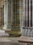 Exeter Cathedral, Devon, Interior View Showing 14Th Century Columns In The Nave Of The Cathedral by David Clapp Limited Edition Print