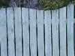 Seaside Garden - Blue Wooden Wave Shaped Fence, , Designer: Mark Laurence by Clive Nichols Limited Edition Pricing Art Print