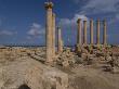 Temple Of Isis, Roman Site Of Sabratha, Libya by Natalie Tepper Limited Edition Print