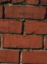 Backgrounds - Red Ibstock Bricks And Mortar Wall by Natalie Tepper Limited Edition Print