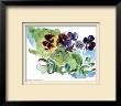 Spring Garden / Pansies by Lynn Donoghue Limited Edition Print