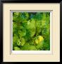 Nautilus In Green I by Sharon Gordon Limited Edition Print