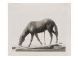 Photo D'une Sculpture En Cire De Degas :Cheval À L'abreuvoir (Rf 2106) by Ambroise Vollard Limited Edition Pricing Art Print
