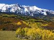 Sneffells Range With Autumn Aspens, Colorado, Usa by Terry Eggers Limited Edition Print