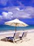 Umbrellas On Dawn Beach, St. Maarten, Caribbean by Michael Defreitas Limited Edition Print