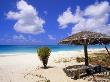 Coco Point Beach, Barbuda, Antigua by Michael Defreitas Limited Edition Print