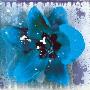 Tulip Fresco (Blue) by Erin Clark Limited Edition Print