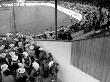 Two Crowds, Santa Barbara Rodeo by Eloise Patrick Limited Edition Pricing Art Print