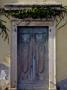 Doorway With Vine, Italy by Eloise Patrick Limited Edition Pricing Art Print