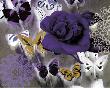 Butterfly Collage Purple by Evangeline Taylor Limited Edition Print