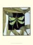Dragonfly Inset Iv by Jennifer Goldberger Limited Edition Pricing Art Print