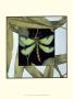 Dragonfly Inset Iv by Jennifer Goldberger Limited Edition Print